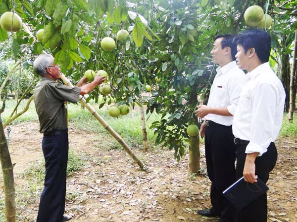 Agribank ưu tiên phát triển bền vững ảnh 2