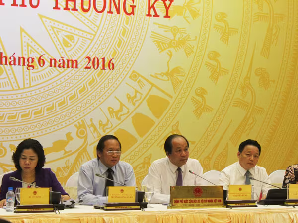 Đã xác định được nguyên nhân cá chết hàng loạt ven biển miền Trung ảnh 1