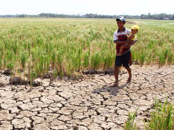 560 triệu USD hỗ trợ đồng bằng sông Cửu Long  ảnh 1 560 triệu USD hỗ trợ đồng bằng sông Cửu Long  ảnh 1