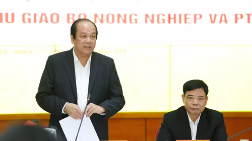 Giải quyết dứt điểm chồng chéo trong kiểm tra chuyên ngành ảnh 1 Giải quyết dứt điểm chồng chéo trong kiểm tra chuyên ngành ảnh 1