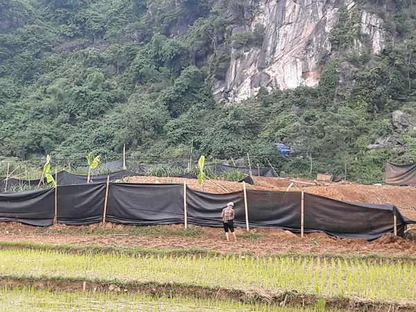 "Vàng tặc" lộng hành ở Kim Bôi, Hòa Bình ảnh 8