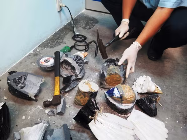 Phát hiện lô ma túy 5 tỷ đồng giấu trong 4 tượng chim đại bàng ảnh 2