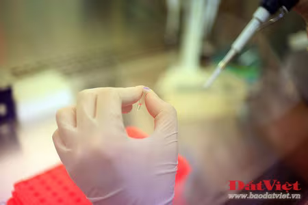 Phòng giám đinh nhận dạng ADN của Viện Pháp y Quân đội được chuyển giao kỹ thuật từ phòng giám đinh nhận dạng ADN của quân đội Mỹ (Armed Force DNA Identification Laboratory - AFDIL), và trước đó là của Viện Công nghệ Sinh học - thuộc Viện Khoa học Việt Nam. Nơi đây trang bị hàng chục loại máy móc hiện đại khác nhau như máy nhân gien, máy li tâm, máy điện di, máy giải trình tự AND… Có hai phương pháp phân tích ADN thường được sử dụng, đó là phân tích ADN nhân và phân tích ADN ty thể, trong đó phương pháp thứ hai đang được lựa chọn sử dụng trong giám định hài cốt liệt sĩ ở Viện Pháp y Quân đội. Việc thực hiện giám định được thực hiện trên cơ sở lấy mẫu ADN từ hài cốt liệt sĩ để đối chiếu với mẫu thân nhân - được lấy của những người có quan hệ theo dòng mẹ với liệt sĩ. Quá trình tách chiết mẫu sinh phẩm từ hài cốt là khâu quan trọng, quyết định sự thành công hay thất bại của quá trình phân tích ADN. Mẫu sinh phẩm sau khi tách chiết được chứa trong những lọ nhỏ xếp trong khay. Sau khi tách chiết, mẫu được đưa vào máy giải trình tự ADN – được coi là “linh hồn” của Labo, được kết nối với máy tính. Chiếc máy này có thể xử lý cùng lúc nhiều mẫu sinh phẩm. Kết quả của quá trình giải trình tự ADN sẽ hiển thị trên máy tính, từ đó các chuyên gia sẽ đối chiếu để xác định hài cốt có đúng là liệt sĩ của gia đình yêu cầu thực hiện giám định hay không. So với phương pháp phân tích ADN nhân, phân tích ADN ty thể là phương pháp đạt tỉ lệ chính xác cao hơn, nhưng cũng rất phức tạp và tốn kém hơn nhiều. Chỉ tính riêng chi phí dành cho các loại hóa nhất nhập từ nước ngoài đã lên đến 10-15 triệu đồng cho mỗi ca giám định. Thời gian để hoàn thành mỗi ca giám định kéo dài 4 – 6 tuần. Theo ThS. Nguyễn Lê Cát, có rất nhiều trường hợp thân nhân liệt sĩ mang mẫu đến giám định tại Viện Pháp y Quân đội dựa vào phương pháp ngoại cảm - một phương pháp có lẽ được áp dụng duy nhất tại Việt Nam, không có bất cứ một nước nào trên thế giới áp dụng. Một số gia đình đã đem đến những mẩu xương tìm được bằng phương pháp ngoại cảm, được cho là của liệt sĩ, nhưng thực chất không phải xương người. Tỉ lệ chính xác của phương pháp xác định hài cốt liệt sĩ bằng ngoại cảm là rất thấp. Việc giám định gien là phương pháp đáng tin cậy nhất nhất giúp gia đình liệt sĩ xác định đúng danh tính người thân để đưa về nơi chôn rau cắt rốn. Đó là niềm hạnh phúc vô cùng to lớn đối với gia đình và họ hàng của liệt sĩ. Có thể ví von, mỗi ca giám định thành công là một sự “khai sinh lần thứ hai” đối với liệt sĩ. Chị Nguyễn Thị Hoa, một nhân viên giám định của Viện Pháp y Quân đội chia sẻ về công việc của mình: “Đây là một việc làm rất thiết thực với các gia đình liệt sĩ nói riêng, cũng như toàn thể xã hội nói chung. Tôi rất yêu quý và trân trọng công việc mà mình đang được giao phó”. Phòng giám đinh nhận dạng ADN của Viện Pháp y Quân đội được chuyển giao kỹ thuật từ phòng giám đinh nhận dạng ADN của quân đội Mỹ (Armed Force DNA Identification Laboratory - AFDIL), và trước đó là của Viện Công nghệ Sinh học - thuộc Viện Khoa học Việt Nam. Nơi đây trang bị hàng chục loại máy móc hiện đại khác nhau như máy nhân gien, máy li tâm, máy điện di, máy giải trình tự AND… Có hai phương pháp phân tích ADN thường được sử dụng, đó là phân tích ADN nhân và phân tích ADN ty thể, trong đó phương pháp thứ hai đang được lựa chọn sử dụng trong giám định hài cốt liệt sĩ ở Viện Pháp y Quân đội. Việc thực hiện giám định được thực hiện trên cơ sở lấy mẫu ADN từ hài cốt liệt sĩ để đối chiếu với mẫu thân nhân - được lấy của những người có quan hệ theo dòng mẹ với liệt sĩ. Quá trình tách chiết mẫu sinh phẩm từ hài cốt là khâu quan trọng, quyết định sự thành công hay thất bại của quá trình phân tích ADN. Mẫu sinh phẩm sau khi tách chiết được chứa trong những lọ nhỏ xếp trong khay. Sau khi tách chiết, mẫu được đưa vào máy giải trình tự ADN – được coi là “linh hồn” của Labo, được kết nối với máy tính. Chiếc máy này có thể xử lý cùng lúc nhiều mẫu sinh phẩm. Kết quả của quá trình giải trình tự ADN sẽ hiển thị trên máy tính, từ đó các chuyên gia sẽ đối chiếu để xác định hài cốt có đúng là liệt sĩ của gia đình yêu cầu thực hiện giám định hay không. So với phương pháp phân tích ADN nhân, phân tích ADN ty thể là phương pháp đạt tỉ lệ chính xác cao hơn, nhưng cũng rất phức tạp và tốn kém hơn nhiều. Chỉ tính riêng chi phí dành cho các loại hóa nhất nhập từ nước ngoài đã lên đến 10-15 triệu đồng cho mỗi ca giám định. Thời gian để hoàn thành mỗi ca giám định kéo dài 4 – 6 tuần. Theo ThS. Nguyễn Lê Cát, có rất nhiều trường hợp thân nhân liệt sĩ mang mẫu đến giám định tại Viện Pháp y Quân đội dựa vào phương pháp ngoại cảm - một phương pháp có lẽ được áp dụng duy nhất tại Việt Nam, không có bất cứ một nước nào trên thế giới áp dụng. Một số gia đình đã đem đến những mẩu xương tìm được bằng phương pháp ngoại cảm, được cho là của liệt sĩ, nhưng thực chất không phải xương người. Tỉ lệ chính xác của phương pháp xác định hài cốt liệt sĩ bằng ngoại cảm là rất thấp. Việc giám định gien là phương pháp đáng tin cậy nhất nhất giúp gia đình liệt sĩ xác định đúng danh tính người thân để đưa về nơi chôn rau cắt rốn. Đó là niềm hạnh phúc vô cùng to lớn đối với gia đình và họ hàng của liệt sĩ. Có thể ví von, mỗi ca giám định thành công là một sự “khai sinh lần thứ hai” đối với liệt sĩ. Chị Nguyễn Thị Hoa, một nhân viên giám định của Viện Pháp y Quân đội chia sẻ về công việc của mình: “Đây là một việc làm rất thiết thực với các gia đình liệt sĩ nói riêng, cũng như toàn thể xã hội nói chung. Tôi rất yêu quý và trân trọng công việc mà mình đang được giao phó”.