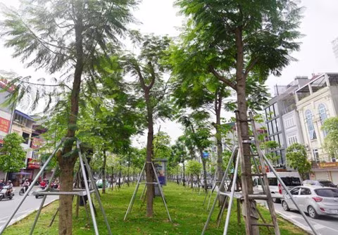 Giao lưu trực tuyến "An toàn mùa mưa bão" ảnh 17 Giao lưu trực tuyến "An toàn mùa mưa bão" ảnh 17