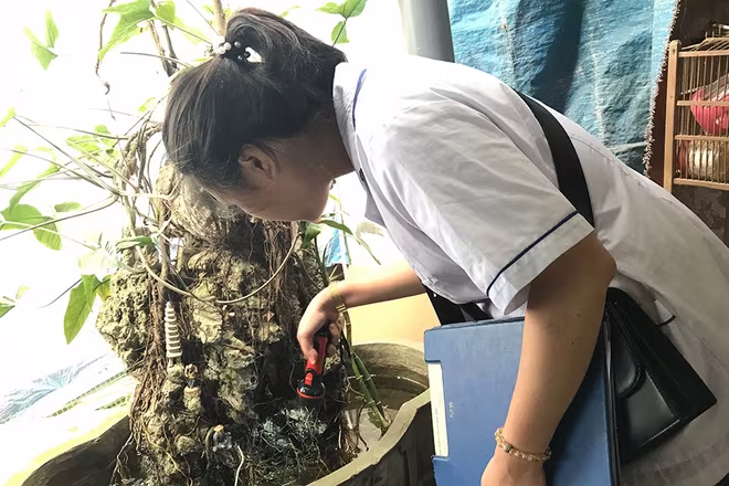 Giao lưu trực tuyến "Hiệu quả từ mô hình phòng chống sốt xuất huyết dựa vào cộng đồng" ảnh 11 Giao lưu trực tuyến "Hiệu quả từ mô hình phòng chống sốt xuất huyết dựa vào cộng đồng" ảnh 11