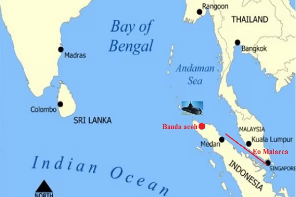 8h tối nay, tàu ngầm Kilo vào cảng Cam Ranh? ảnh 3