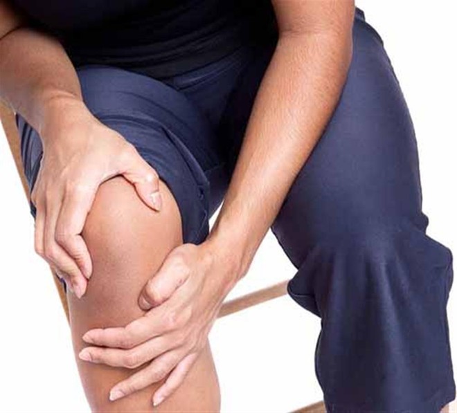 Lá vối giúp ăn ngon, chống gout ảnh 2 Lá vối giúp ăn ngon, chống gout ảnh 2