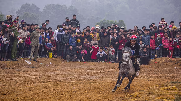 Mãn nhãn xem ngựa đua Bắc Hà sải vó tại Thủ đô ảnh 10