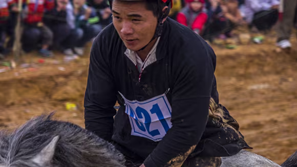 Mãn nhãn xem ngựa đua Bắc Hà sải vó tại Thủ đô ảnh 11