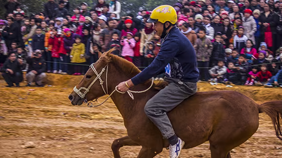 Mãn nhãn xem ngựa đua Bắc Hà sải vó tại Thủ đô ảnh 12