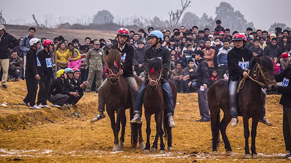 Mãn nhãn xem ngựa đua Bắc Hà sải vó tại Thủ đô ảnh 7