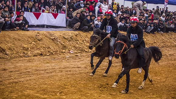 Mãn nhãn xem ngựa đua Bắc Hà sải vó tại Thủ đô ảnh 8