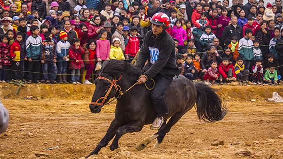 Mãn nhãn xem ngựa đua Bắc Hà sải vó tại Thủ đô ảnh 9
