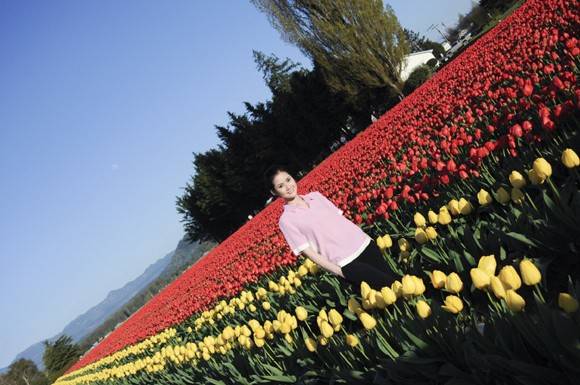 Hoa hậu Tristine Trâm Bùi khoe sắc trong vườn Tulip khổng lồ ảnh 1 Hoa hậu Tristine Trâm Bùi khoe sắc trong vườn Tulip khổng lồ ảnh 1