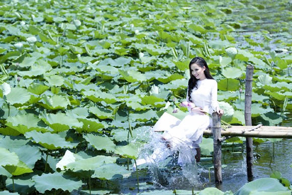 Hoa hậu Diễm Hương "tung" ảnh chụp giữa đầm sen Tây Hồ ảnh 7 Hoa hậu Diễm Hương "tung" ảnh chụp giữa đầm sen Tây Hồ ảnh 7