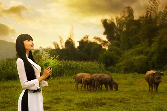 Hoa hậu Triệu Thị Hà “thả dáng” giữa đồng quê ảnh 7 Hoa hậu Triệu Thị Hà “thả dáng” giữa đồng quê ảnh 7