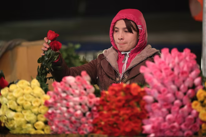 Người lao động ở chợ hoa Quảng Bá, Tây Hồ phải bịt kín khăn mũ chống rét Ảnh: lam thanh