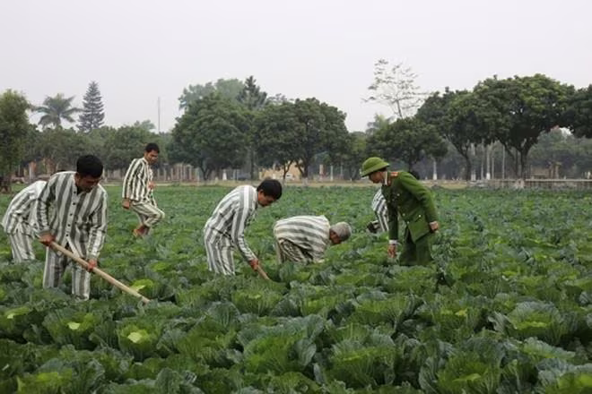 Phạm nhân lao động trong trại giam