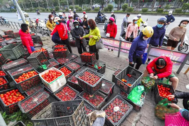 Chiến dịch giải cứu nông sản cho bà con vùng dịch đã được người dân Hà Nội nhiệt tình hưởng ứng Chiến dịch giải cứu nông sản cho bà con vùng dịch đã được người dân Hà Nội nhiệt tình hưởng ứng