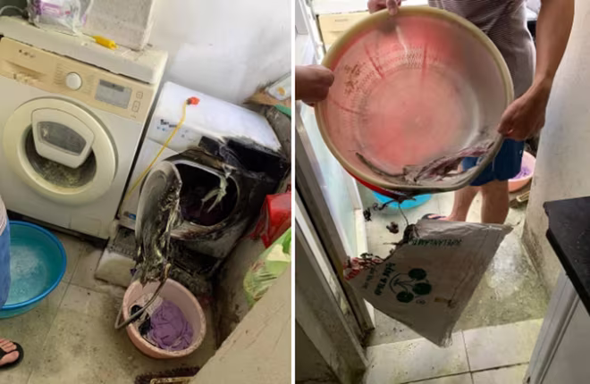 Chiếc máy sấy quần áo đặt ở ban công bất ngờ bốc cháy tại một căn hộ thuộc tòa CT12B Kim Văn Kim Lũ, quận Hoàng Mai, Hà Nội Chiếc máy sấy quần áo đặt ở ban công bất ngờ bốc cháy tại một căn hộ thuộc tòa CT12B Kim Văn Kim Lũ, quận Hoàng Mai, Hà Nội