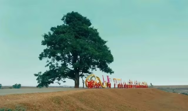 Cây cô đơn trong MV “Bắc Bling” của Hòa Minzy đang trở thành địa đểm được nhiều người tìm đến check-in