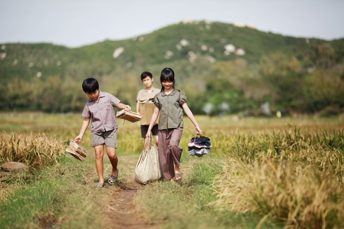 Phú Yên nay đã được nhiều người yêu mến gọi là xứ sở “hoa vàng trên cỏ xanh”