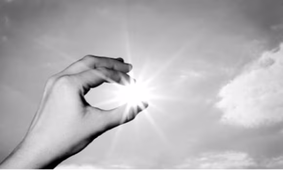 Những “kẻ trộm” bất ngờ ảnh 1