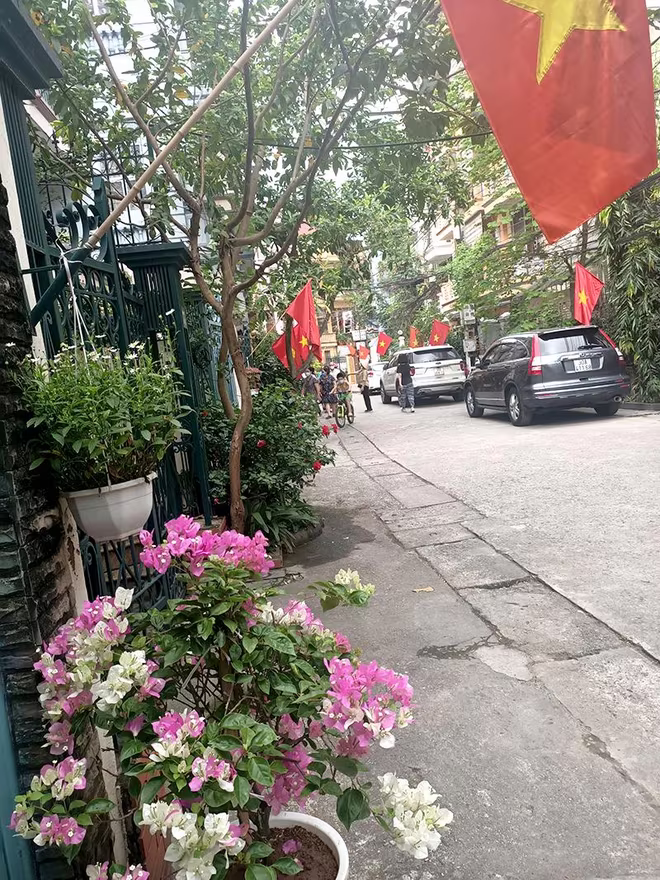 "Ngõ phố nở hoa" khiến cho nhiều người dân trên địa bàn phường không khỏi ngỡ ngàng "Ngõ phố nở hoa" khiến cho nhiều người dân trên địa bàn phường không khỏi ngỡ ngàng