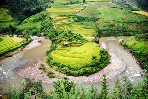 Ngắm "mùa thu vàng" trên Mù Cang Chải ảnh 1 Ngắm "mùa thu vàng" trên Mù Cang Chải ảnh 1