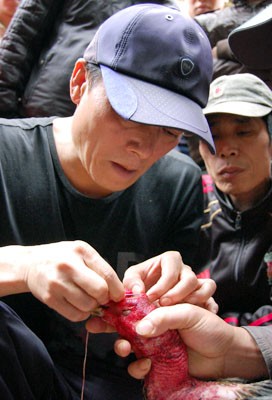 Lễ hội chọi gà thành sới bạc công khai ảnh 11 Lễ hội chọi gà thành sới bạc công khai ảnh 11