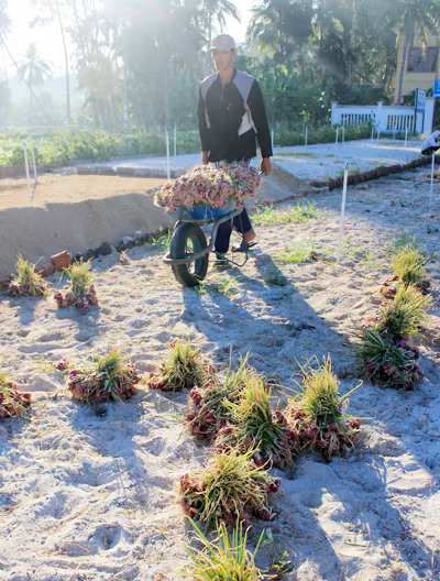 Nhịp sống hối hả trên quê hương Hải đội Hoàng Sa ảnh 4 Nhịp sống hối hả trên quê hương Hải đội Hoàng Sa ảnh 4