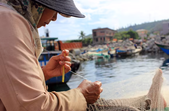 Nhịp sống hối hả trên quê hương Hải đội Hoàng Sa ảnh 9 Nhịp sống hối hả trên quê hương Hải đội Hoàng Sa ảnh 9