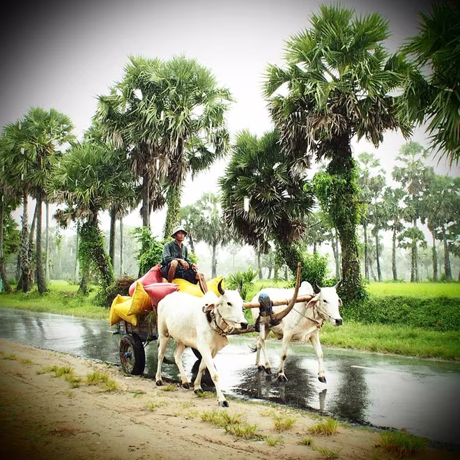 Tác phẩm của Thịnh Lê Tác phẩm của Thịnh Lê