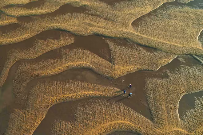 &quot;Sóng cát&quot; - Nguyễn Thị Thu Cúc đoạt HCB VAPA thể loại Ảnh du lịch