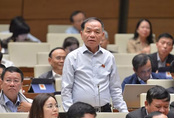 ĐBQH Lê Thanh Vân ĐBQH Lê Thanh Vân