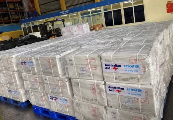 Bộ Y tế sẽ phân bổ nhiều lô vaccine đến các tỉnh/ thành ngay trong tháng 1-2024