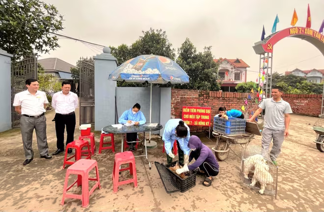 Tiêm vaccine phòng bệnh dại cho chó, mèo ở Sóc Sơn Tiêm vaccine phòng bệnh dại cho chó, mèo ở Sóc Sơn