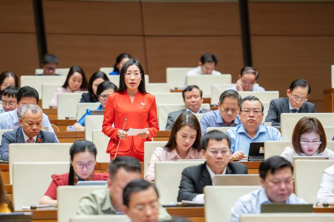 Đại biểu Hoàng Thị Thanh Thúy phát biểu Đại biểu Hoàng Thị Thanh Thúy phát biểu