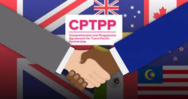 Còn nhiều cơ hội cho doanh nghiệp Việt Nam tại các thị trường thuộc CPTPP và EVFTA Còn nhiều cơ hội cho doanh nghiệp Việt Nam tại các thị trường thuộc CPTPP và EVFTA