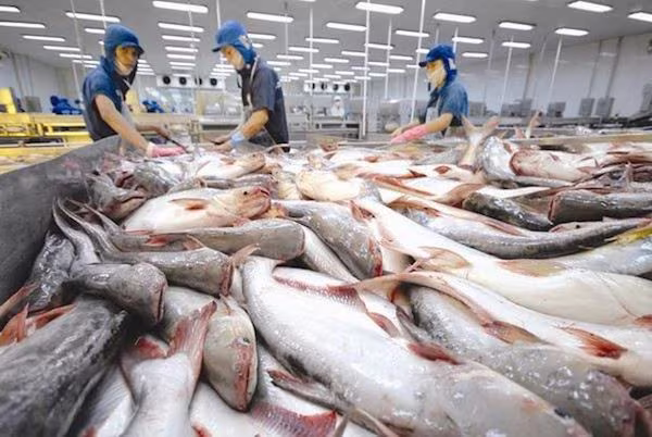 Hàng hóa Việt Nam cần chủ động ứng phó với các biện pháp phòng vệ thương mại từ nước ngoài Hàng hóa Việt Nam cần chủ động ứng phó với các biện pháp phòng vệ thương mại từ nước ngoài
