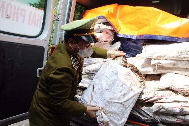 Lực lượng QLTT Quảng Ninh phát hiện, tiêu hủy hàng trăm kg thực phẩm không đảm bảo ATVSTP, bốc mùi hôi thối Lực lượng QLTT Quảng Ninh phát hiện, tiêu hủy hàng trăm kg thực phẩm không đảm bảo ATVSTP, bốc mùi hôi thối