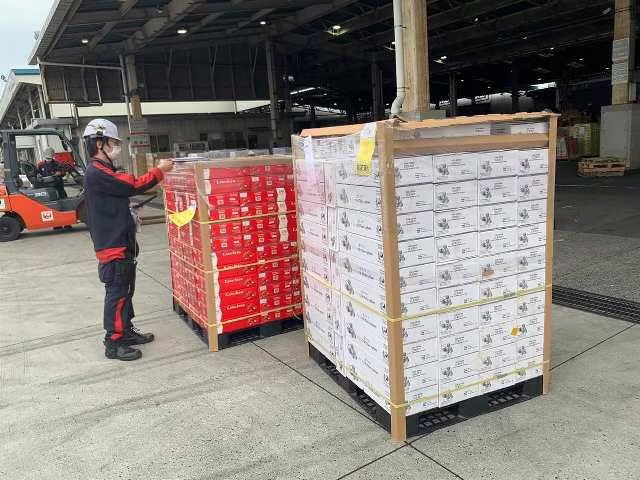 Lô vải thiều gần 1 tấn vải thiều vừa được xuất khẩu sang Nhật Bản Lô vải thiều gần 1 tấn vải thiều vừa được xuất khẩu sang Nhật Bản