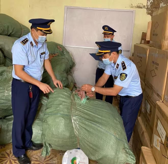 Lực lượng chức năng kiểm tra số lượng hàng hóa gồm nấm Lim và Linh Chi trong bao tải dứa Lực lượng chức năng kiểm tra số lượng hàng hóa gồm nấm Lim và Linh Chi trong bao tải dứa