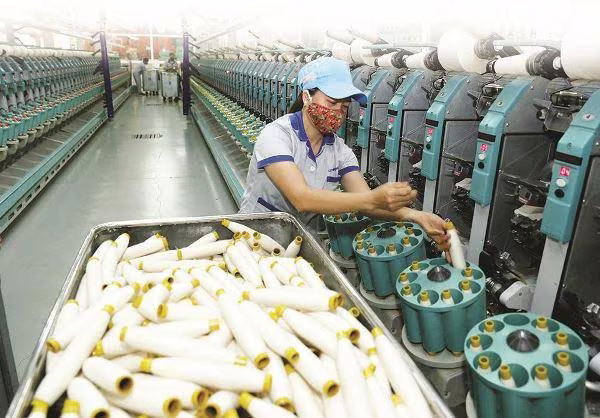 Doanh nghiệp cho rằng dự thảo Nghị định hướng dẫn Luật Bảo vệ môi trường "cần làm rõ cơ sở pháp lý" Doanh nghiệp cho rằng dự thảo Nghị định hướng dẫn Luật Bảo vệ môi trường "cần làm rõ cơ sở pháp lý"