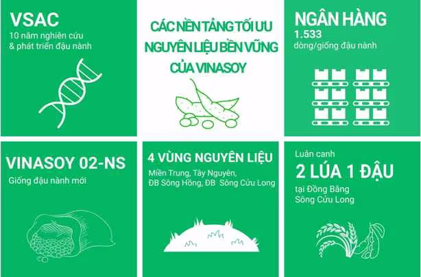 Những thành quả bước đầu của Vinasoy trong nỗ lực phát triển bền vững vùng nguyên liệu Những thành quả bước đầu của Vinasoy trong nỗ lực phát triển bền vững vùng nguyên liệu