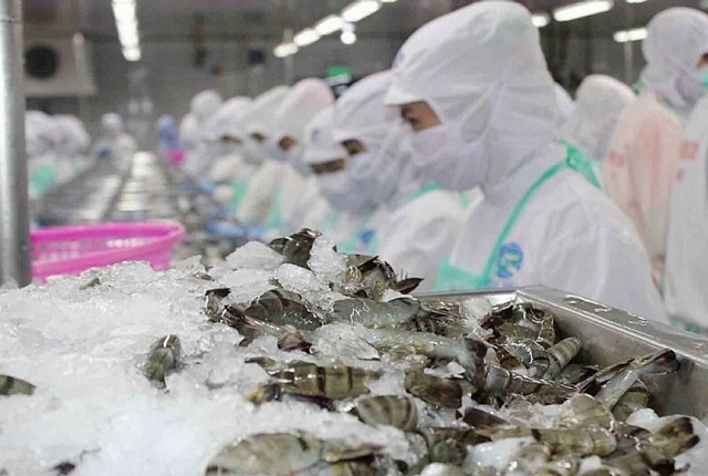 Xuất khẩu tôm vào Mỹ đối mặt với khó khăn do thuế