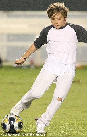 Sân cỏ sẽ có David Beckham... thứ hai ảnh 3 Sân cỏ sẽ có David Beckham... thứ hai ảnh 3