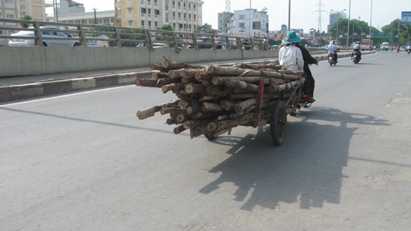 Các lực lượng chức năng đâu rồi? ảnh 1 Các lực lượng chức năng đâu rồi? ảnh 1
