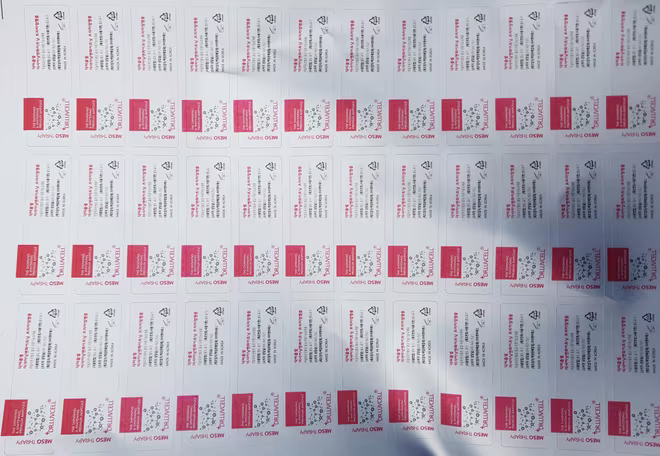 Nhãn mác giả các đối tượng tự sản xuất