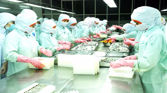 Trước mắt cần mở rộng thị trường tiêu thụ để giảm lượng hàng tồn kho